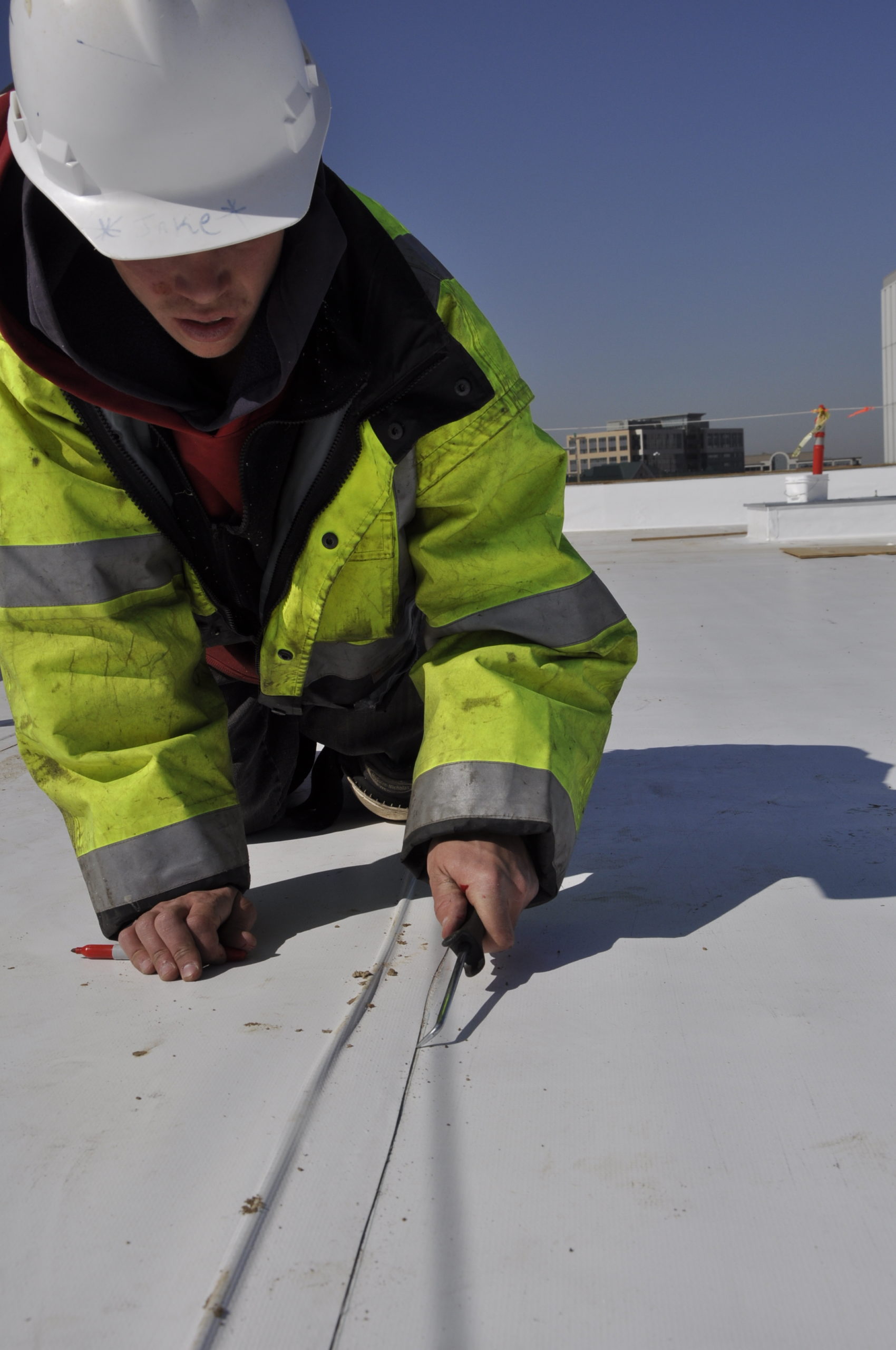SinglePly